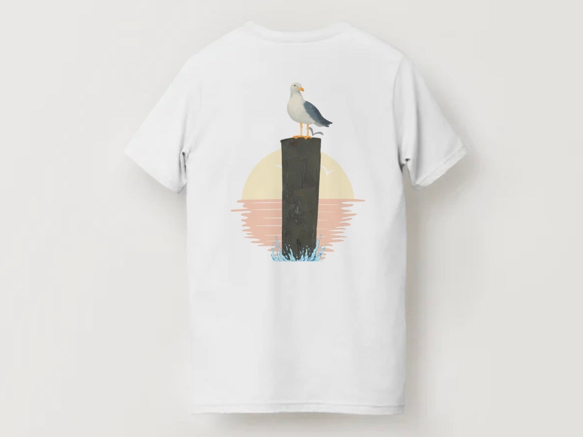 Seagull